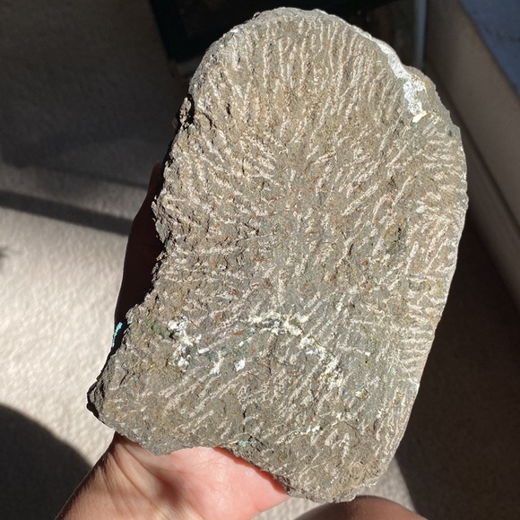 Beautiful crystal growing on matrix - Picture 10 of 11